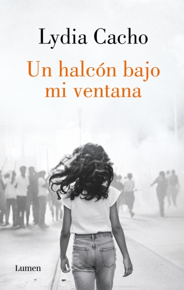 Un halcón bajo mi ventana